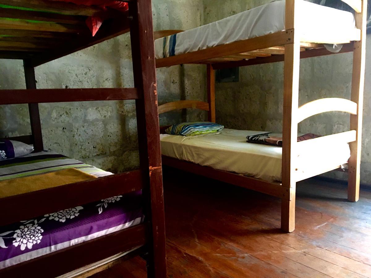 Lion Aqp Hostel Yanahuara Kültér fotó